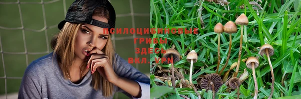 мдма Белокуриха